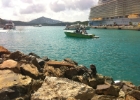 oasis of the seas - 066  iguanas on the pier at Charlotte Amalie, St Thomas
